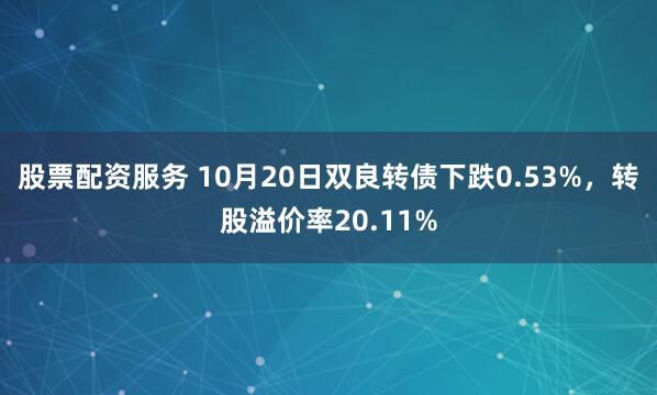 股票配资服务 10月20日双良转债下跌0.53%，转股溢价率20.11%
