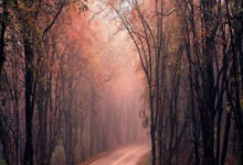 炒股技巧:融资余额最多的股票-市值蒸发5000亿美元后 特斯拉全面转型！马斯克豪赌机器人：五年内年产100万台